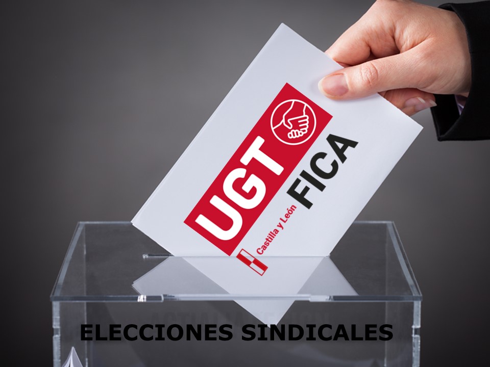 UGT FICA Palencia obtiene una "histórica" victoria en las elecciones sindicales en Motherson